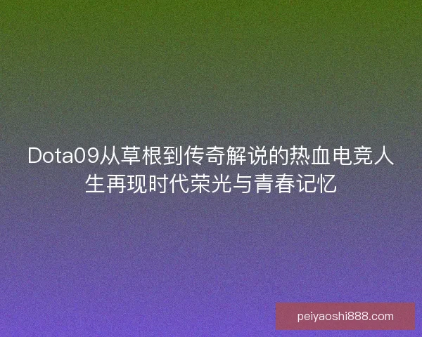 Dota09从草根到传奇解说的热血电竞人生再现时代荣光与青春记忆
