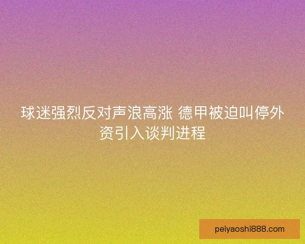 球迷强烈反对声浪高涨 德甲被迫叫停外资引入谈判进程